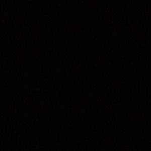 Meet your Posher, Shelby